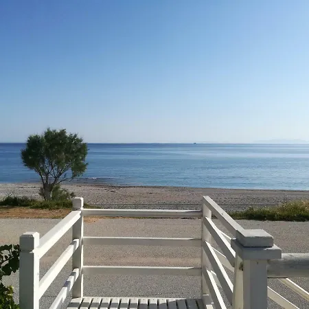 Vagelis Μουρτερή